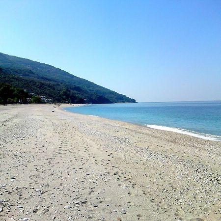 Guesthouse Theareston Загора Экстерьер фото